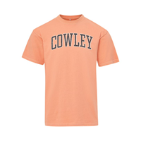 MV Sport Coastal Color Cowley Arched T-shirt